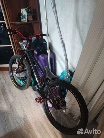 Стрит-триал Czar Ion 24