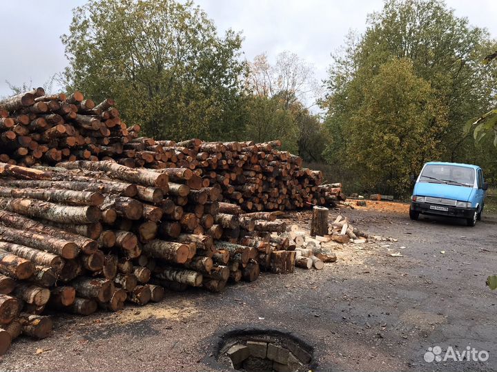 Дрова берёза