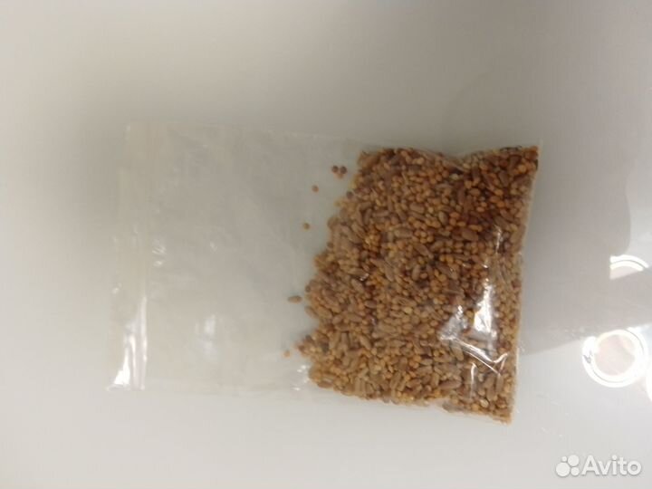 Корм для муравьев