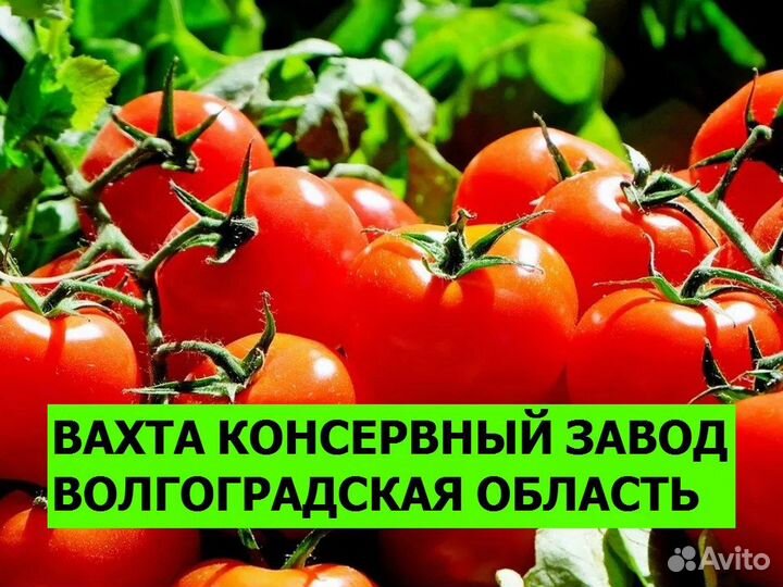 Разнорабочий вахта Волгоградская область