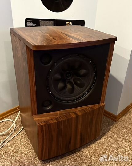 Акустика Hi End, коаксиальный динамик Field coil