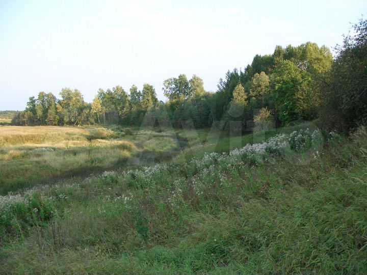 Участок 2,58 га (СНТ, ДНП)