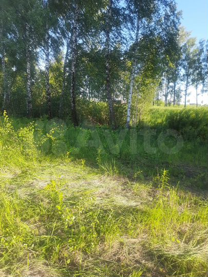 Участок 30 сот. (ИЖС)