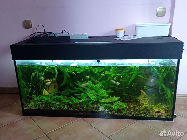 Аквариум 130*45*55