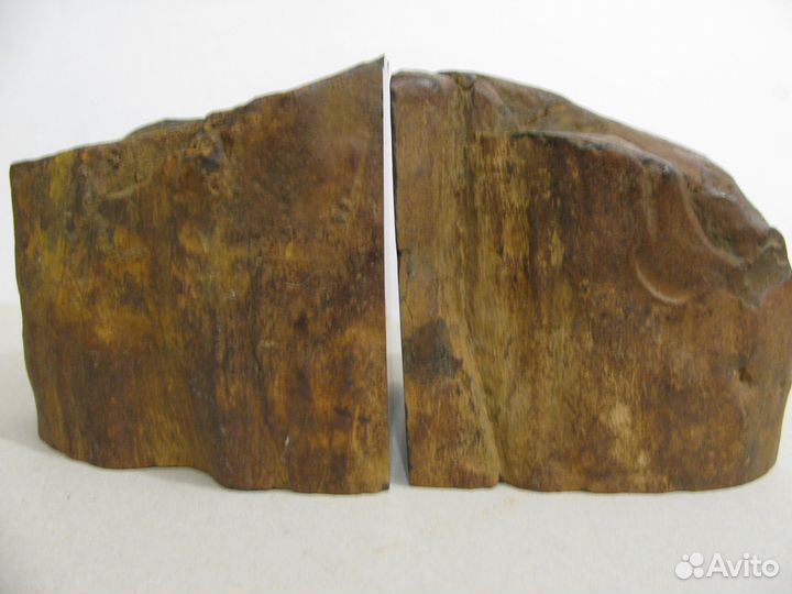 Окаменелое дерево (книгодержатель, пресс-папье)