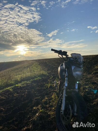 Райсер нитро 250