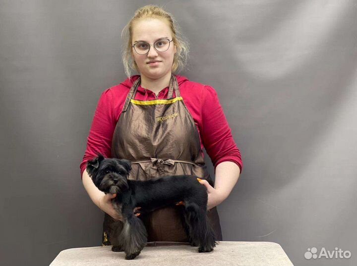 Грумер на дом