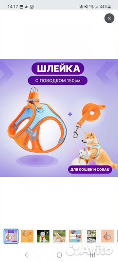 Шлейка для собаки