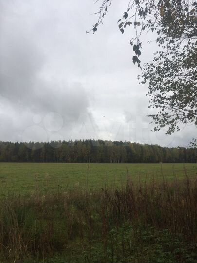 Участок 1,95 га (СНТ, ДНП)