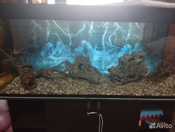 Аквариум