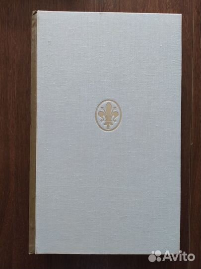 Художественные проблемы Итальянского возрождения