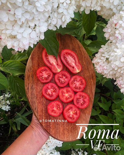 Семена томатов для вяления