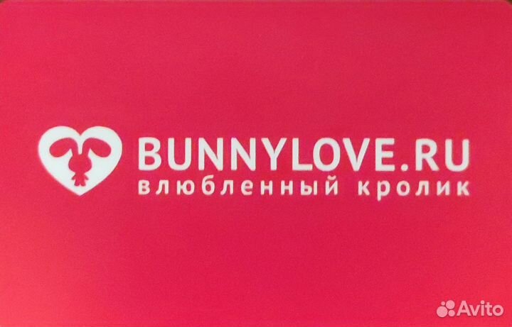 Скидка Влюблённый Кролик Секс Шоп
