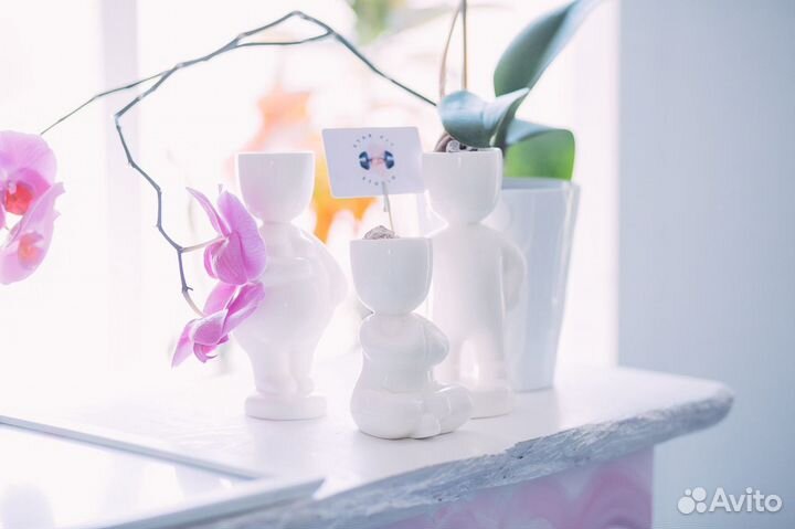 Залы для фитнеса,праздников