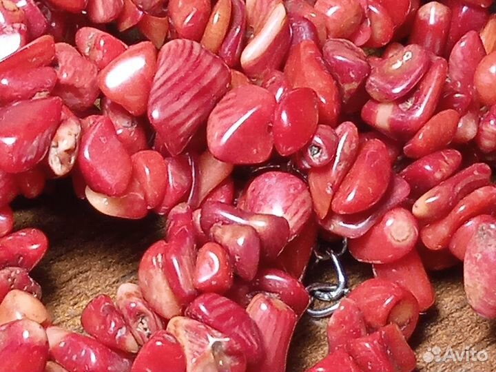 Морские кораллы