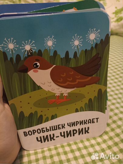 Развивающие карточки для детей Карточки домана