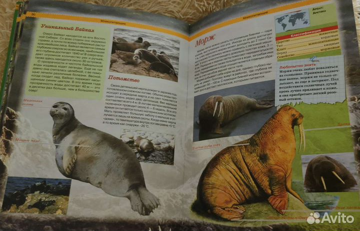 Энциклопедия