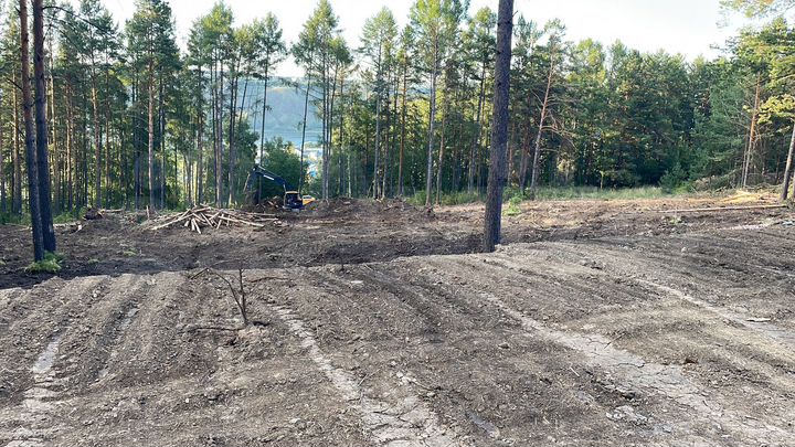 Участок 6 сот. (ИЖС)