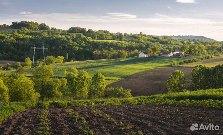 Земельный участок в аренду у государства