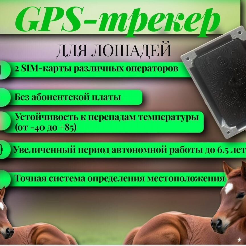 Gps маяк для животных