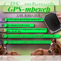 Gps маяк для животных