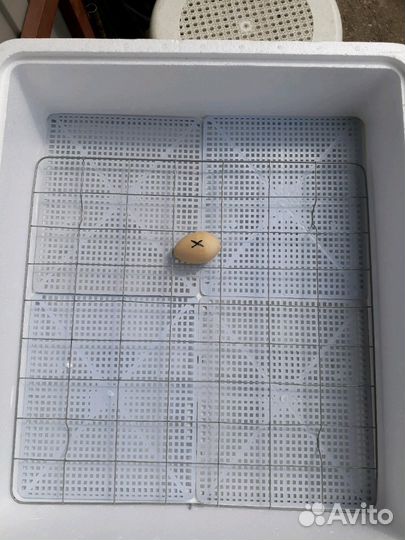 Инкубаторы