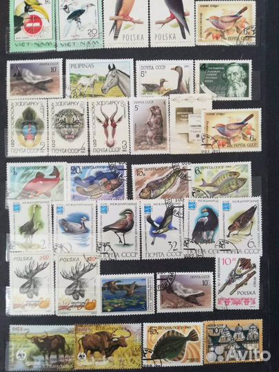 Альбом с марками СССР