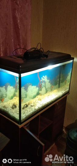 Аквариум с тумбой 200 литров