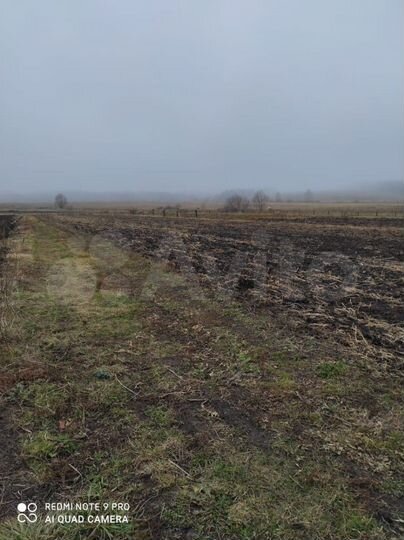 Участок 22 сот. (ИЖС)