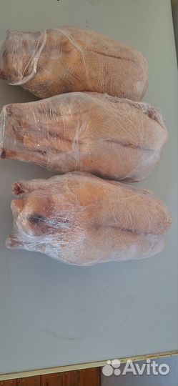 Гусиное мясо