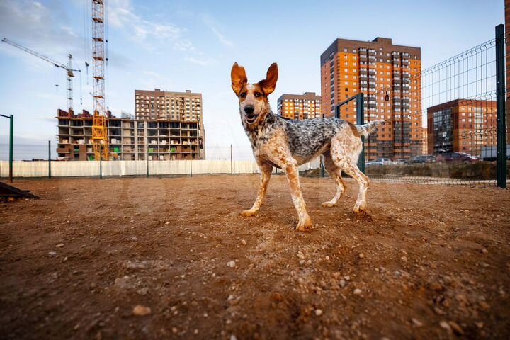 2-к. квартира, 53,9 м², 13/18 эт.