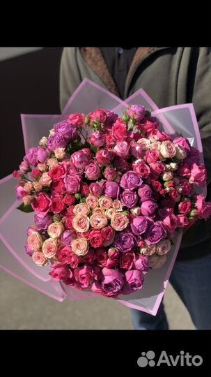 Роза кустовая