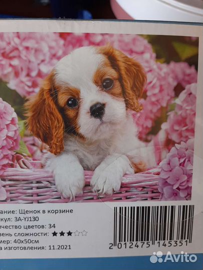 Картины по номерам 40 50