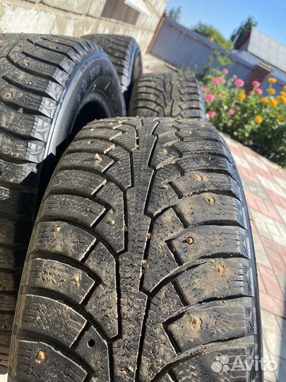 Triangle WinterX TW401 205/55 R16