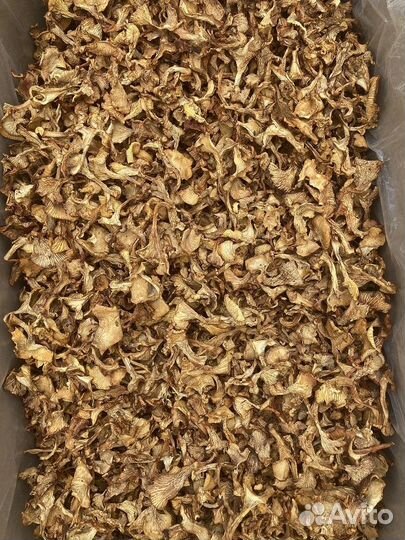 Грибы сушенные опт