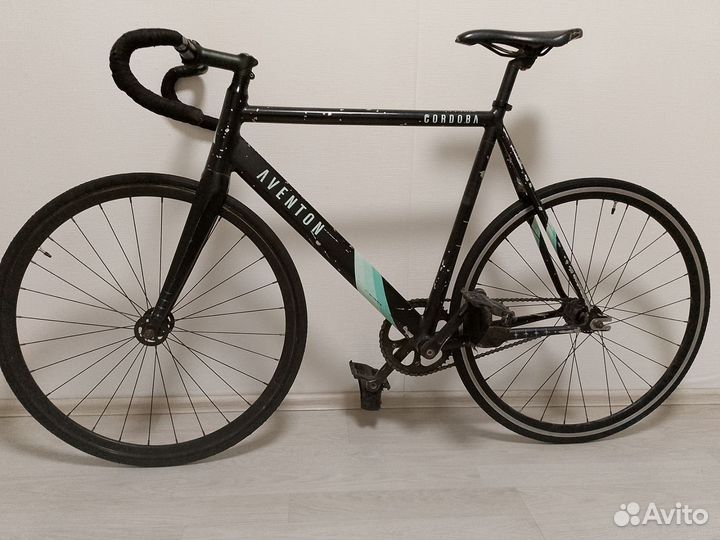 Aventon cordoba 58