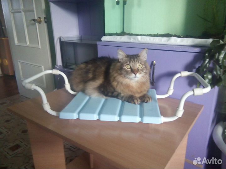 Сиденье в ванну