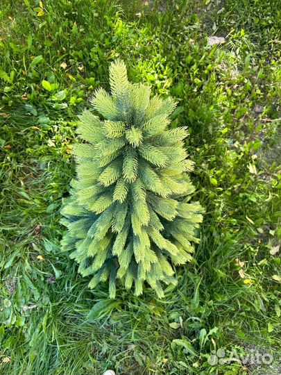 Елка искусственная