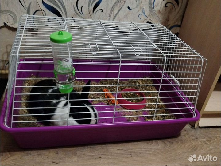 Клетка для грызунов