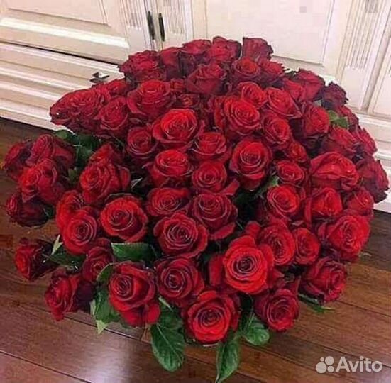 Букеты из 101 розы, роза 15,25,51,101,розы, цветы
