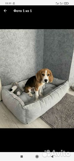 Лежанка для собак и кошек