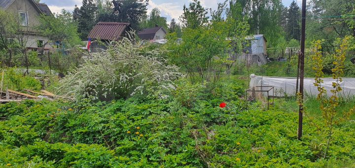 Участок 15 сот. (ИЖС)