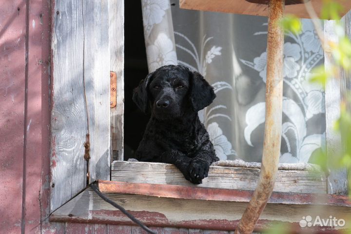 Фотомонтаж/ретушь фото. Видеомонтаж. Арт