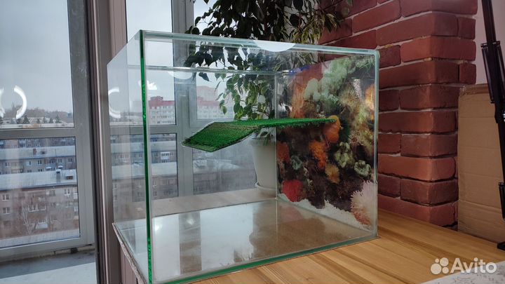 Аквариум. Аквариум для черепахи с горкой