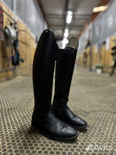 Сапоги de niro выездковые