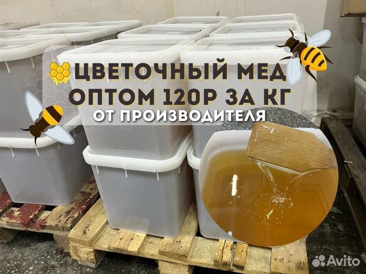 Свежий цветочный мед оптом