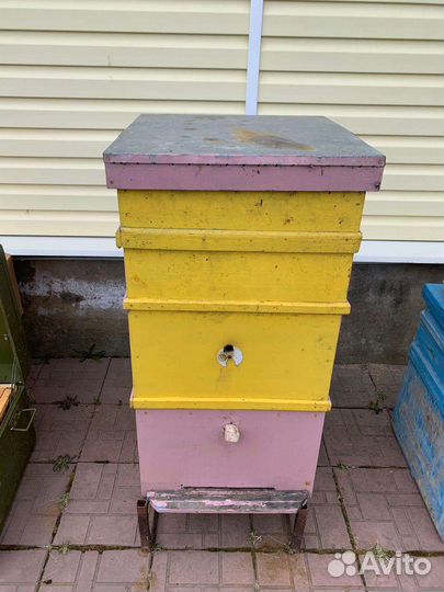 Улей Дадан 16