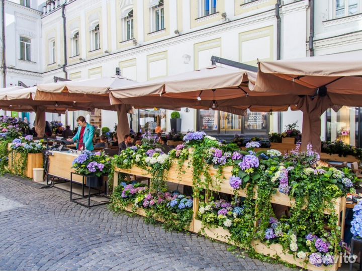 Зонт двухкупольный для кафе и ресторанов