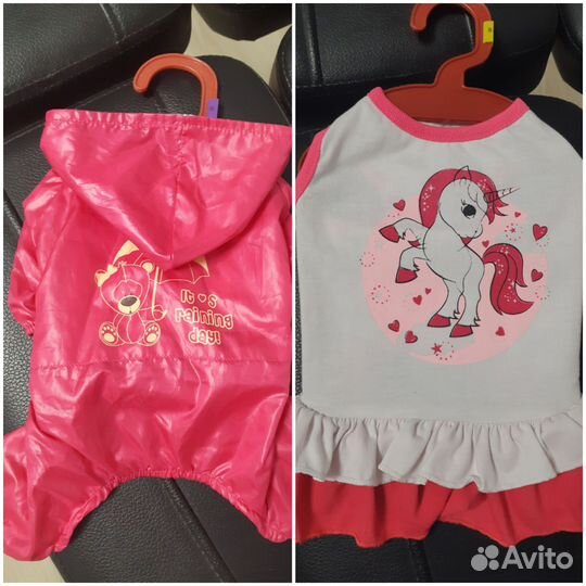 Одежда для маленьких пород собак