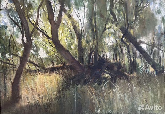 Пейзаж пастелью «В тени»